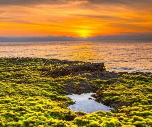 Du lịch Côn Đảo